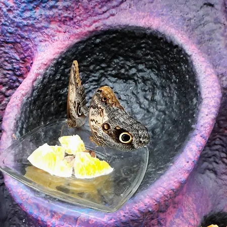 Marta * Lipno nad Vltavou