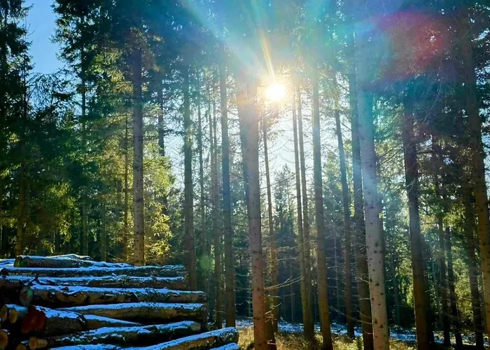 Marta Lipno nad Vltavou